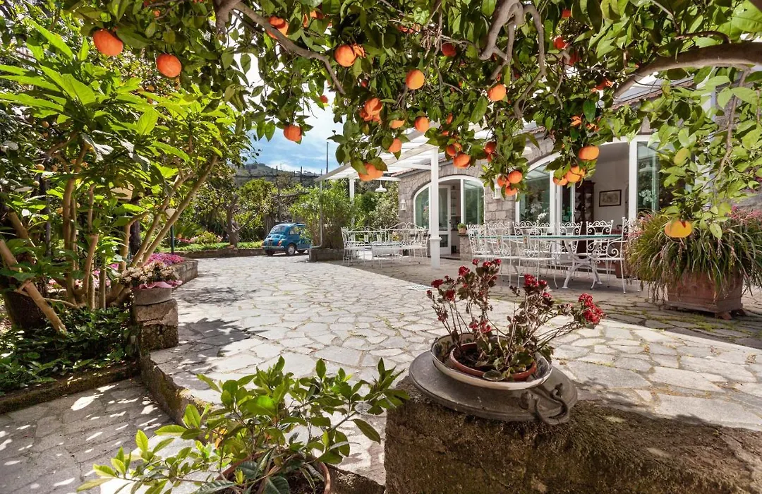 Villa Maresca B&B-1